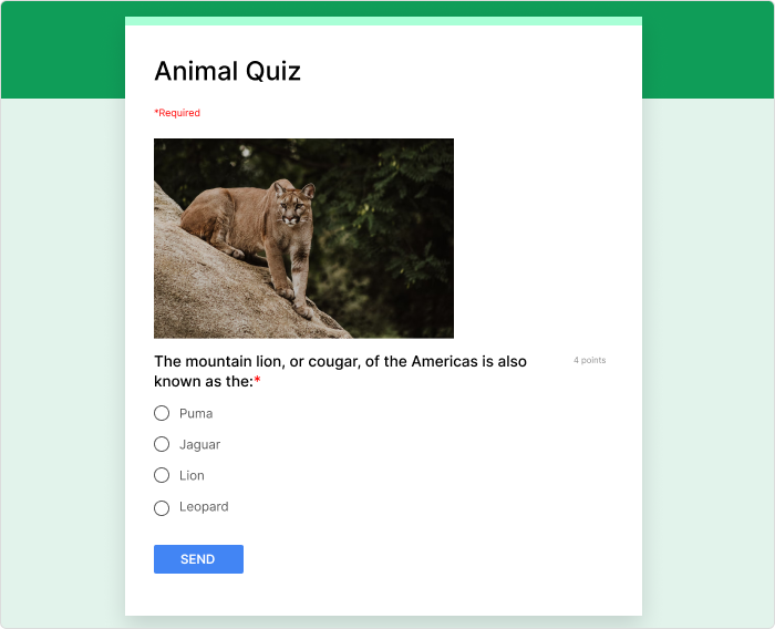 Google Forms - Quiz erstellen für die Schule