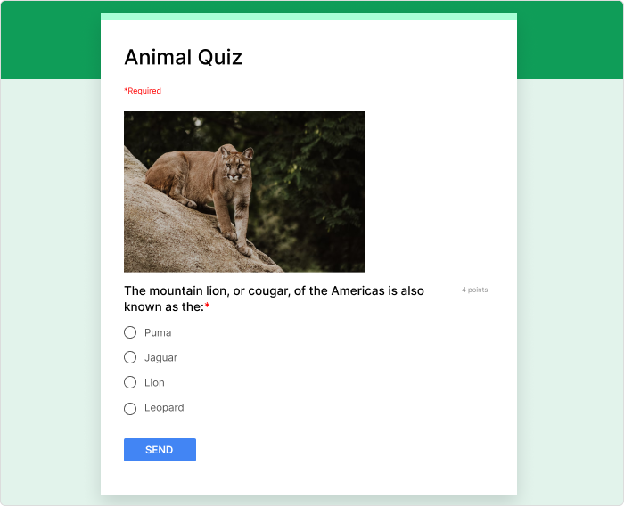 Google Forms Google Forms - Quiz erstellen für die Schule