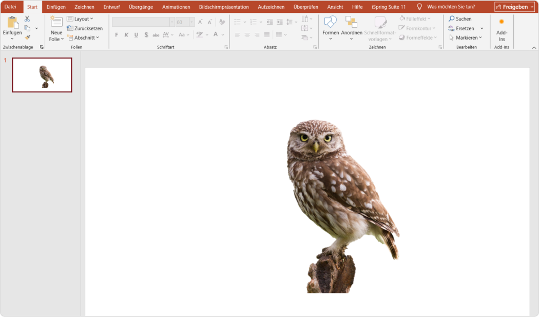 PowerPoint-Bildhintergrund entfernen: das Ergebnis