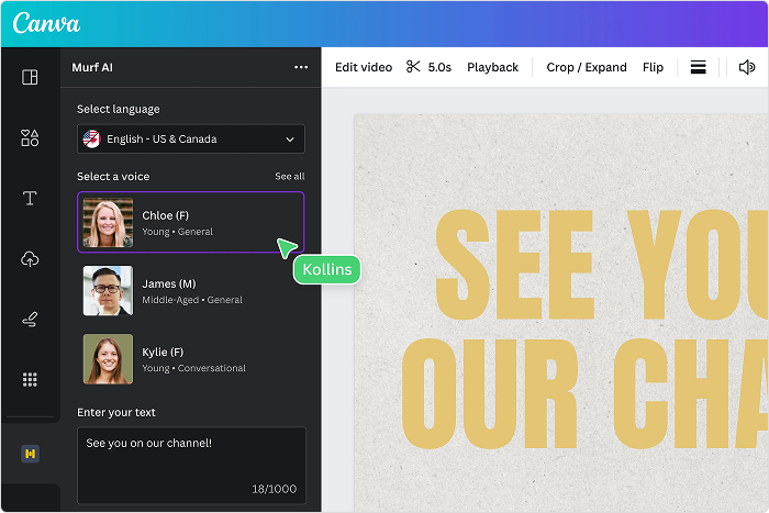 Canva Canva Text-to-Speech-Programm